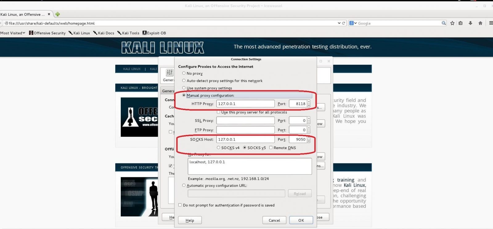 Pentest Çalışmalarını Anonim Olarak Yapılması